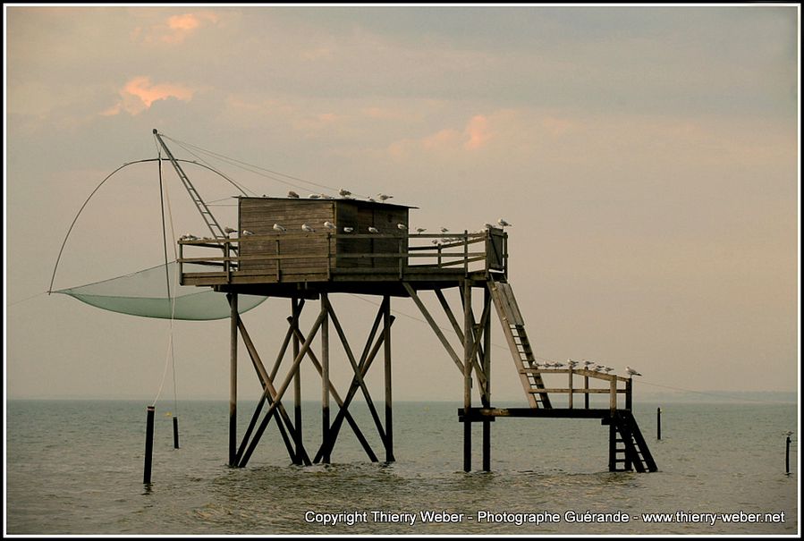 tharon Plage (2)