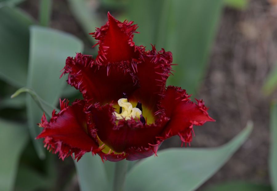 Blog-1-2013-4475.JPG