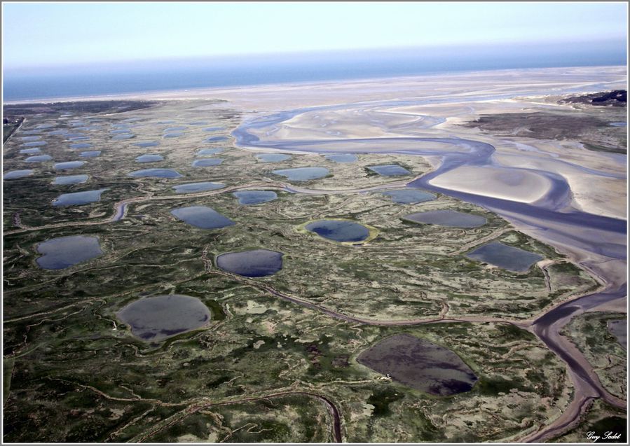 Baie d'Authie 3