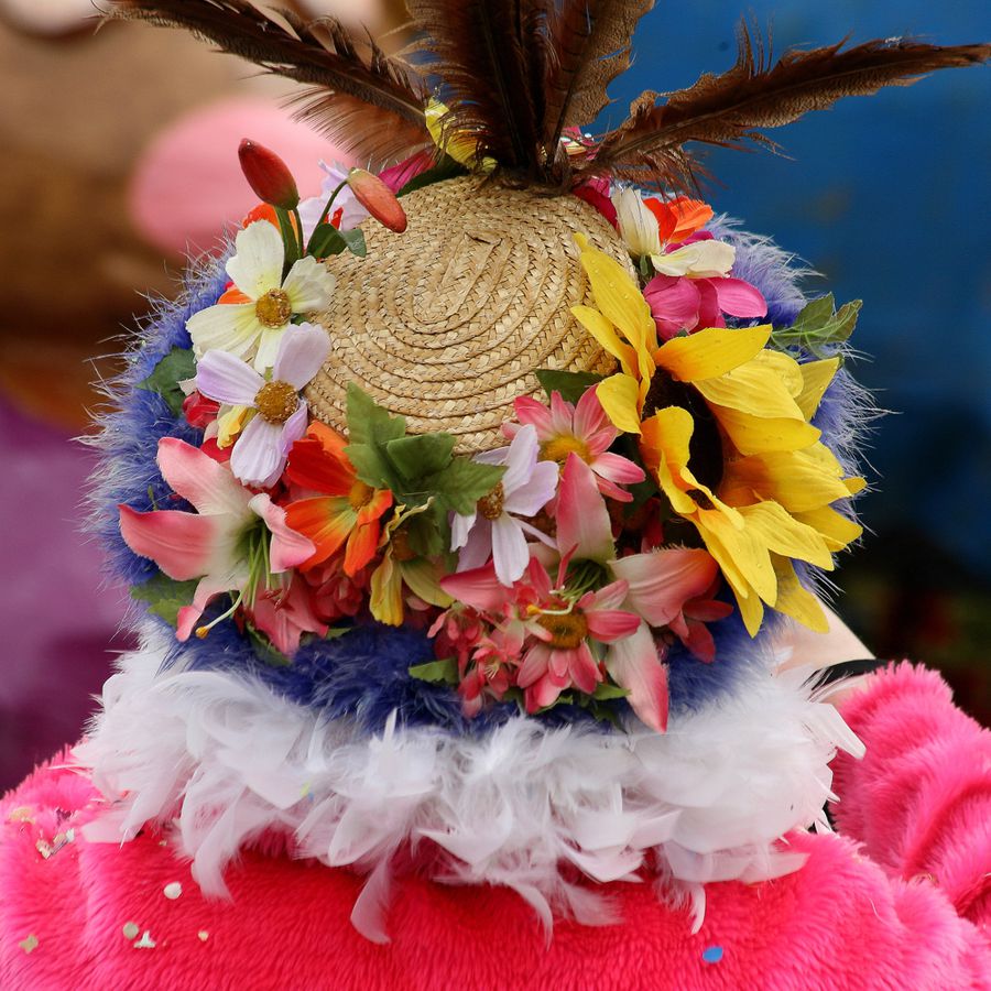 carnaval-pornic-carre (72)