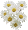vege-bouquet16_1_.gif