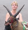 sheep-mouton (74)