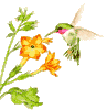 07.gif