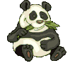 12.gif